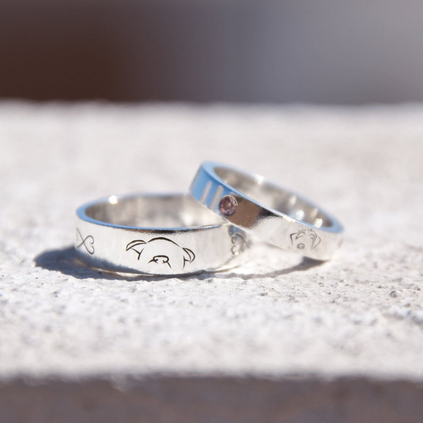 Anillo Mascota